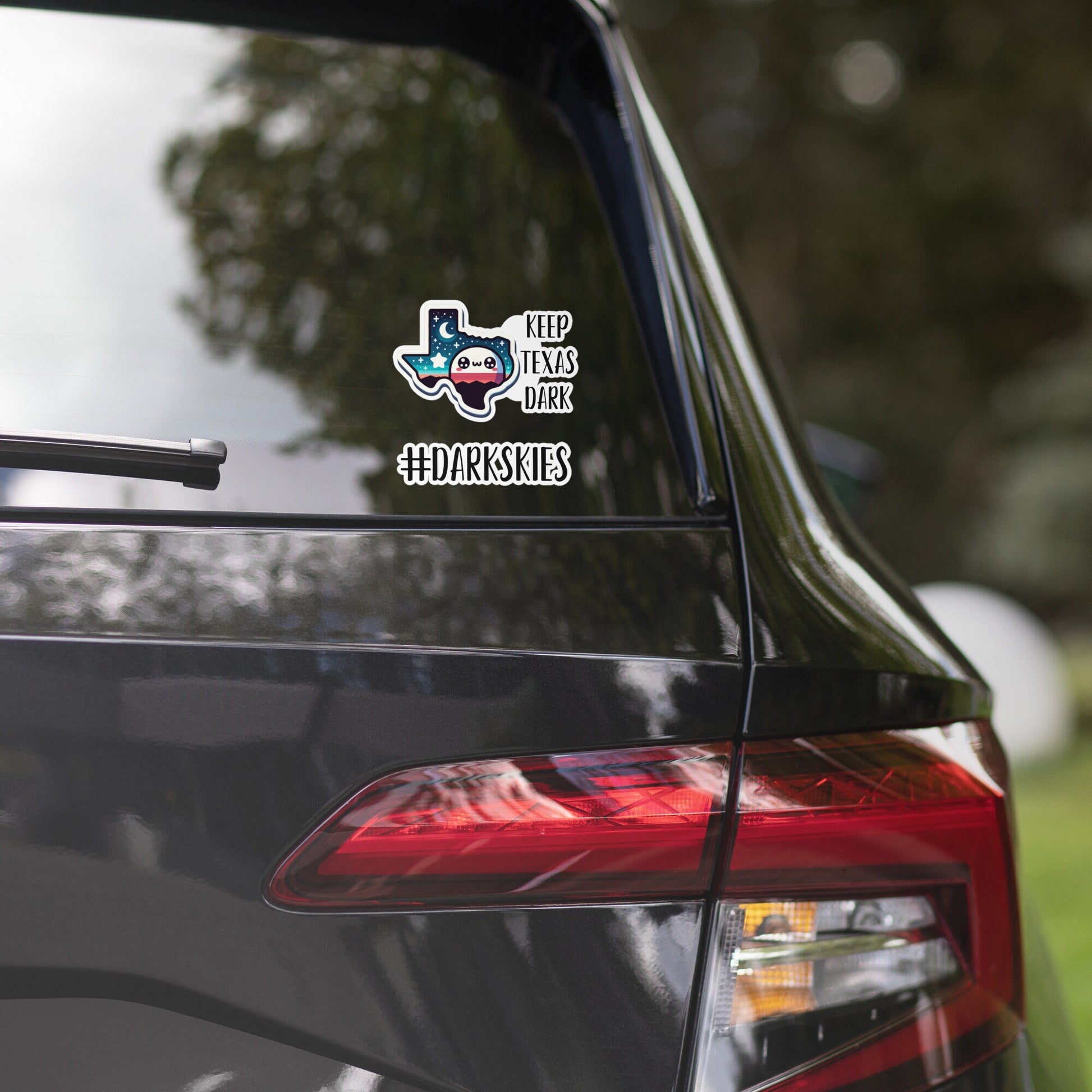 PACK OF 2 - Keep Texas Dark Sticker #darkskies sticker Astronomy sticker astronomy gifts science stickers Bubble-free stickers