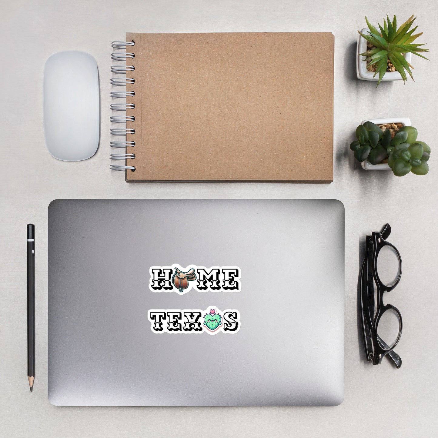 Texas Pride Stickers, Texan Gift Stickers, Texas Home Sticker Gift, Fun Texas Stickers, Texas Humor Stickers