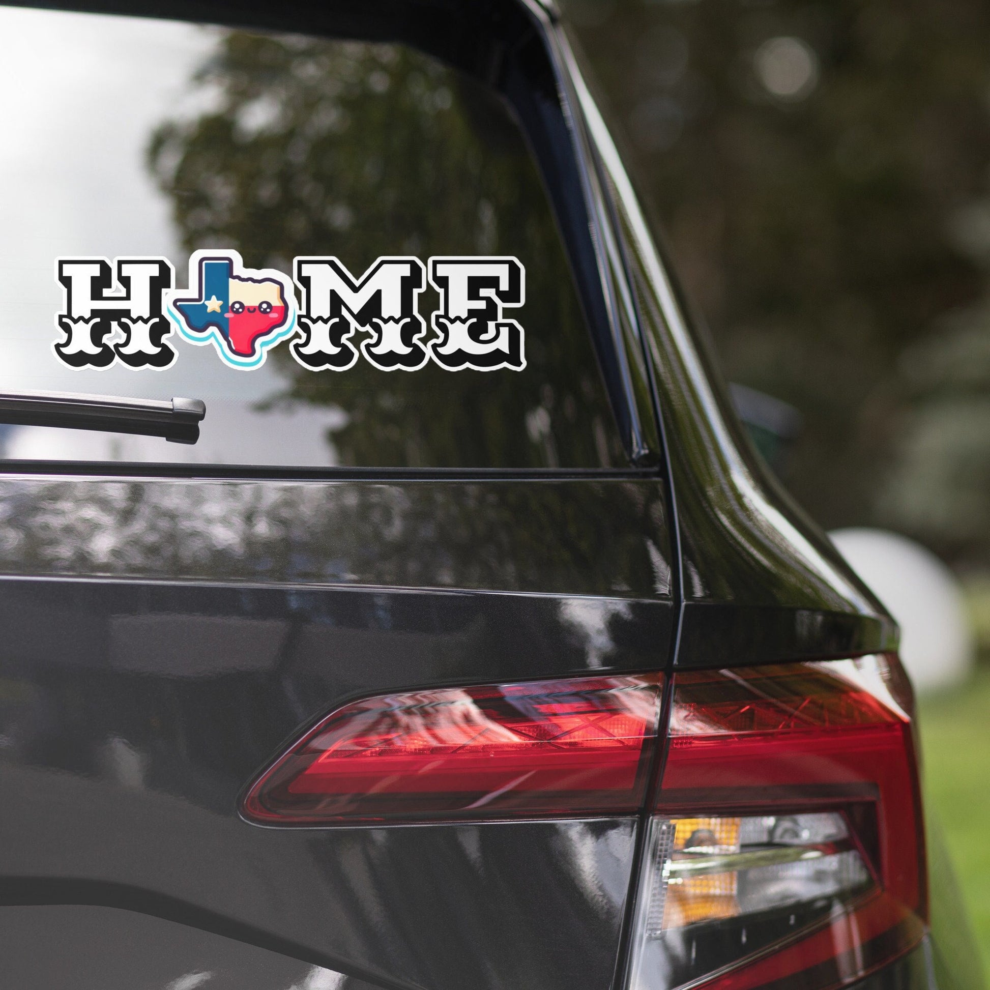 Texas Pride Bumper Sticker, Texan Gifts Car Sticker, XL Texas Sticker, Texas Humor Fun Sticker Gifts