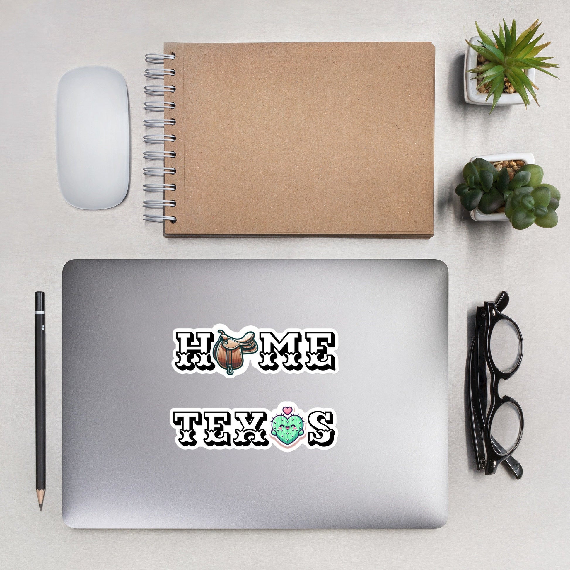 Texas Pride Stickers, Texan Gift Stickers, Texas Home Sticker Gift, Fun Texas Stickers, Texas Humor Stickers